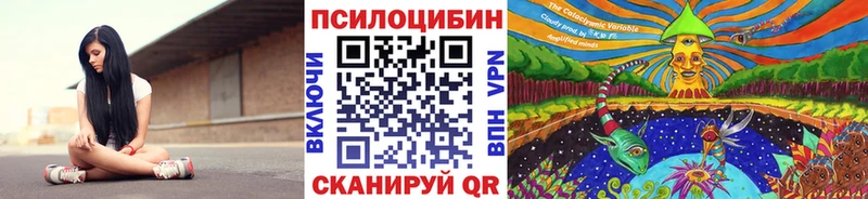 Псилоцибиновые грибы Psilocybe  Нижняя Тура 